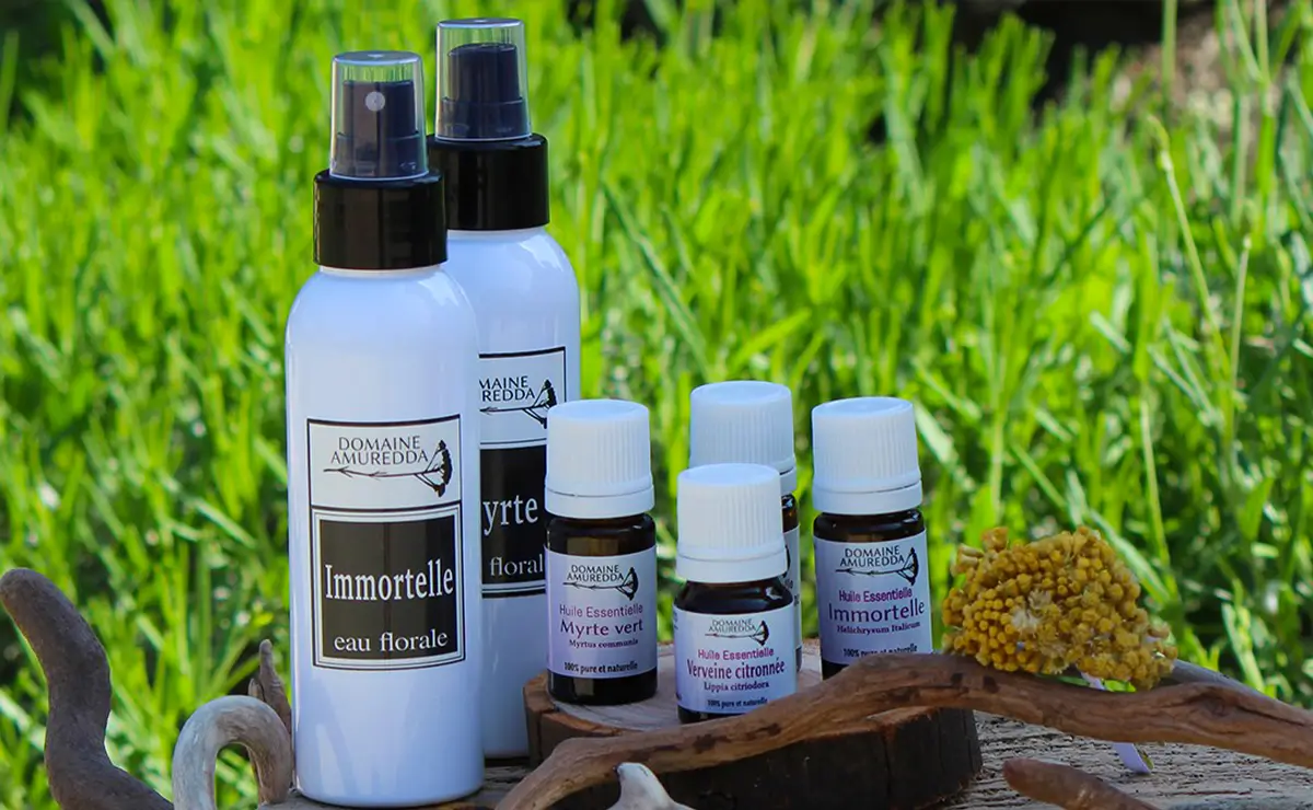 Aufguss Masters - Visita alla distilleria Essences Naturelles Corses