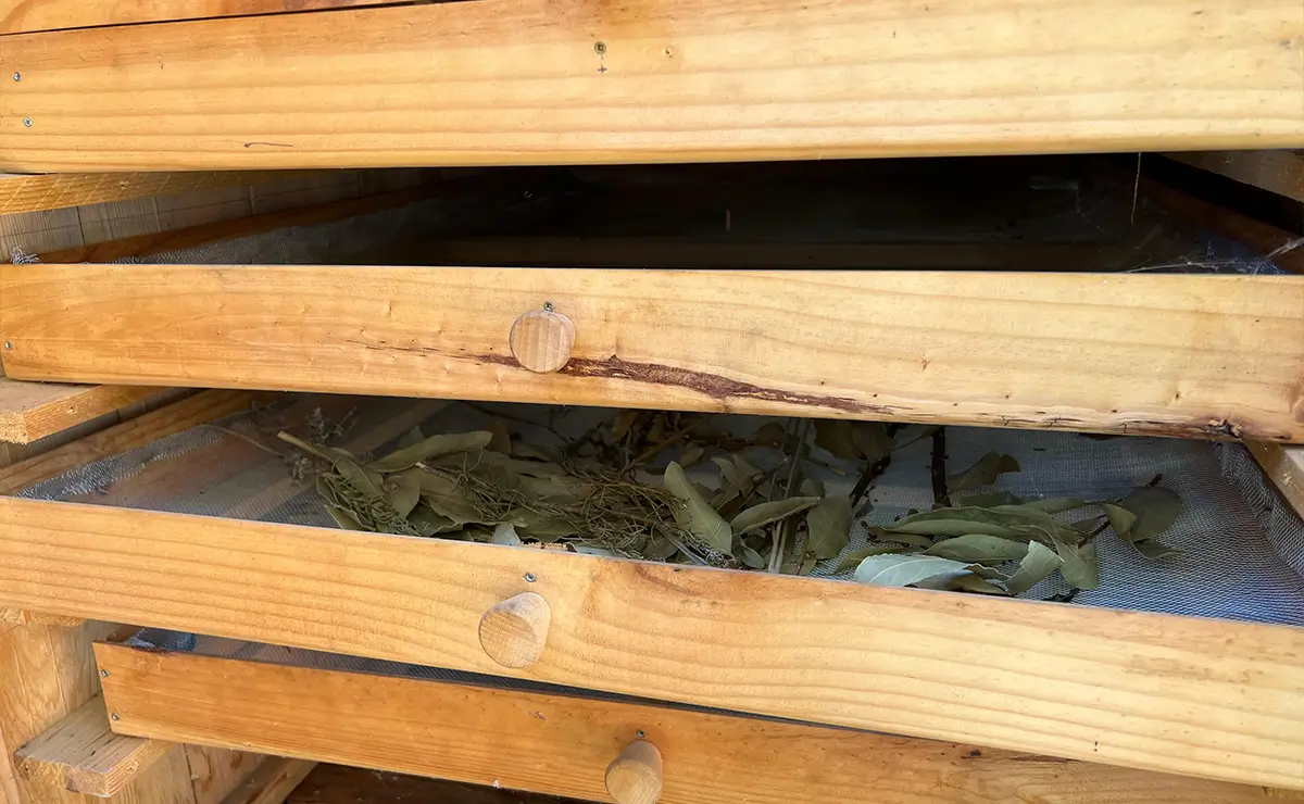 Aufguss Masters - Visita alla distilleria Essences Naturelles Corses