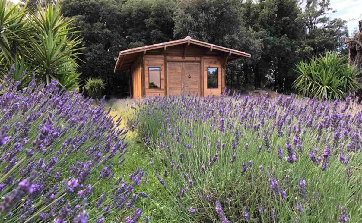 Aufguss Masters - Visita alla distilleria Essences Naturelles Corses