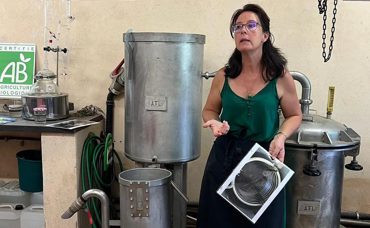 Aufguss Masters - Visita alla distilleria Essences Naturelles Corses