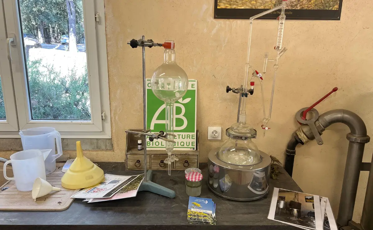 Aufguss Masters - Visita alla distilleria Essences Naturelles Corses