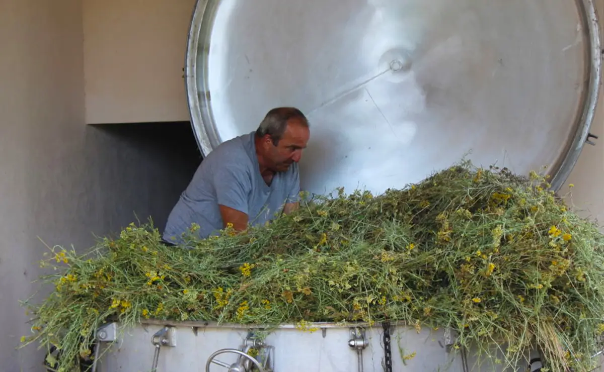 Aufguss Masters - Visita alla distilleria Essences Naturelles Corses