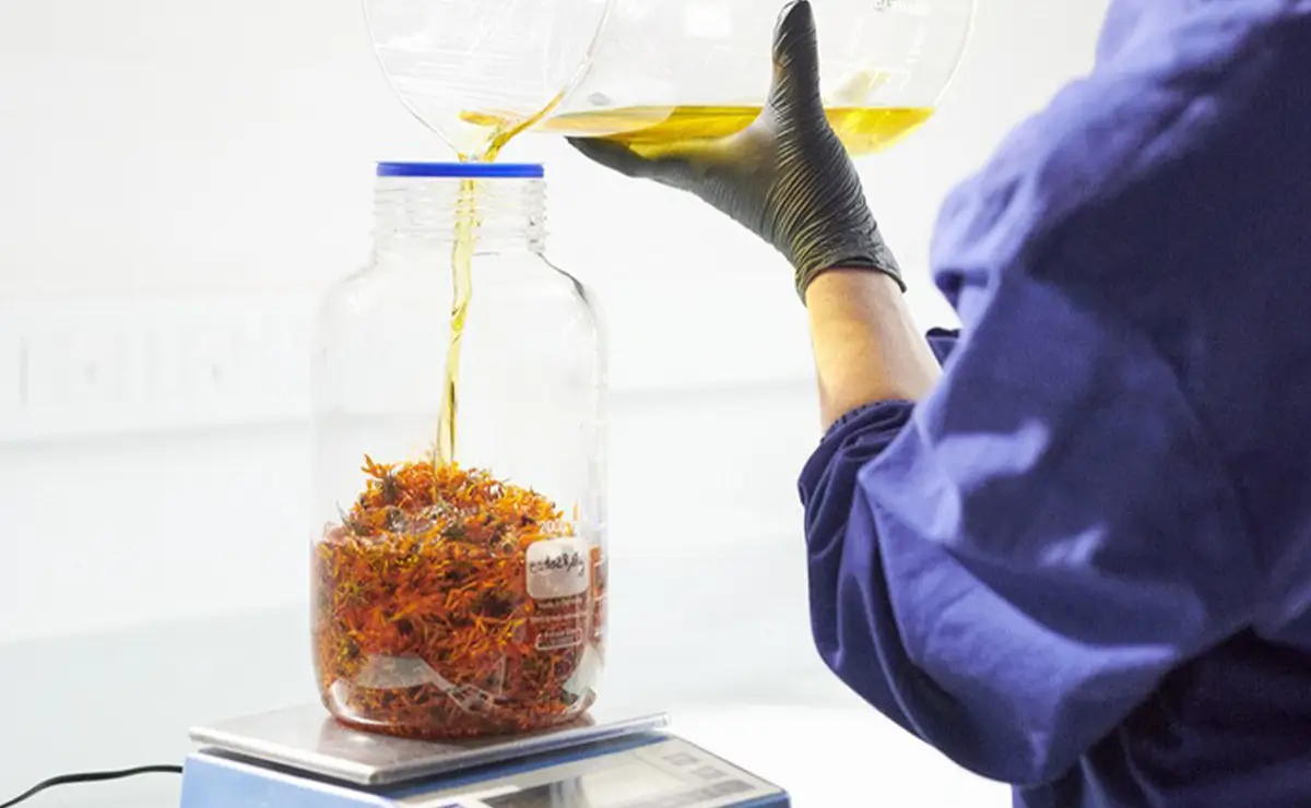 Aufguss Masters - Visita alla distilleria Essences Naturelles Corses