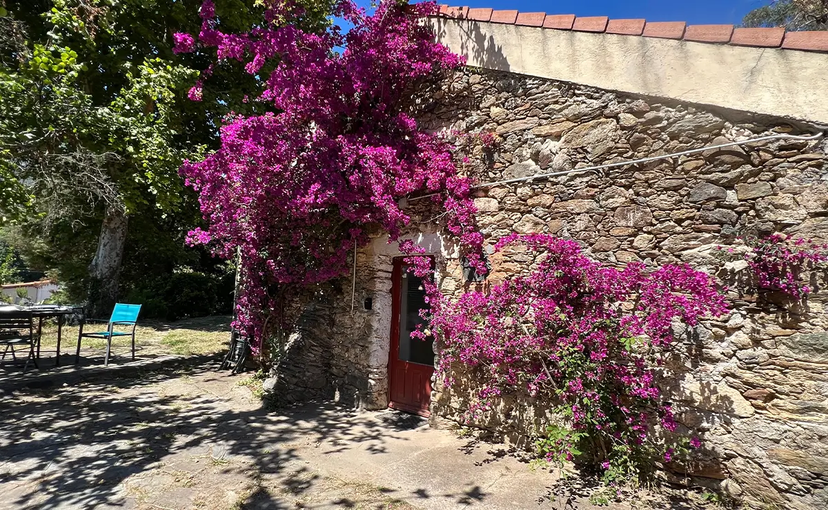 Aufguss Masters - Visita alla distilleria Essences Naturelles Corses