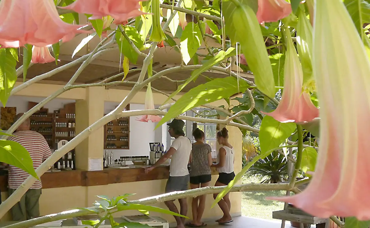 Aufguss Masters - Visita alla distilleria Essences Naturelles Corses