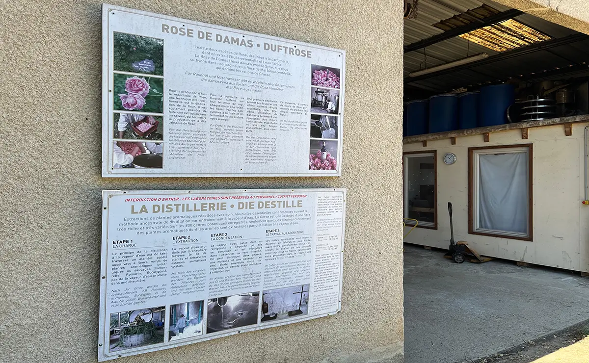 Aufguss Masters - Visita alla distilleria Essences Naturelles Corses